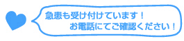 こにし動物病院は急患も受け付けています！