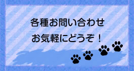 こにし動物病院 お問い合わせ