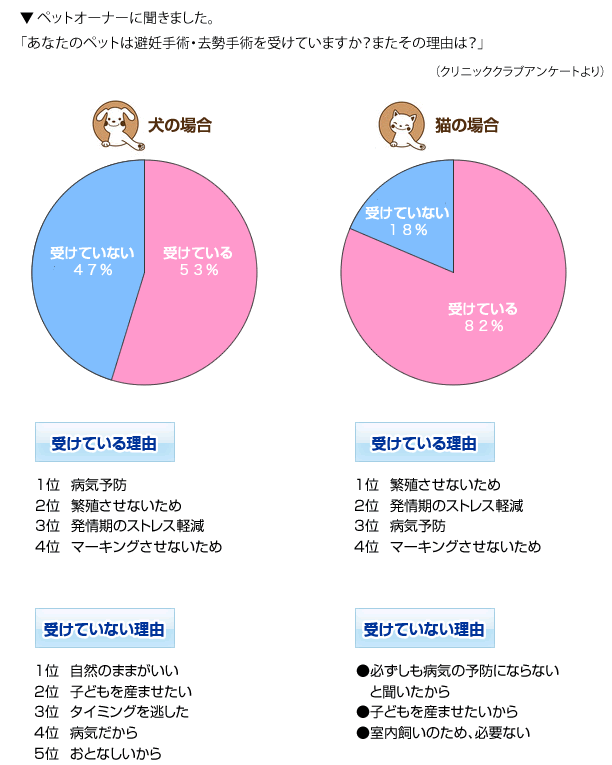 広島県呉市にある動物病院「こにし動物病院」