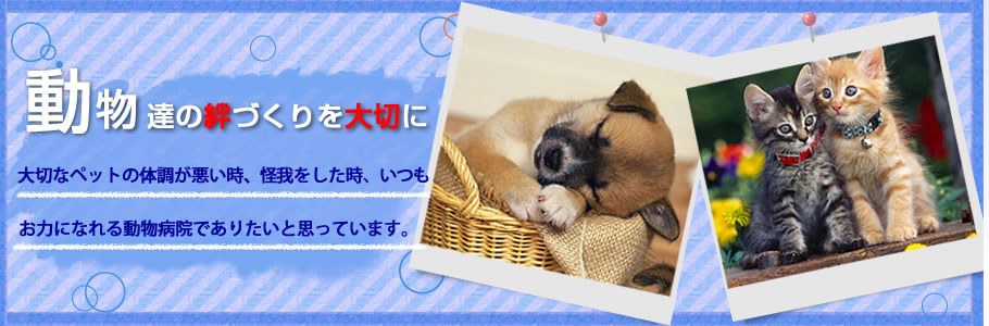 広島県呉市の動物病院 こにし動物病院