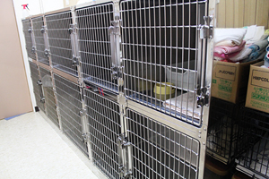 こにし動物病院 入院室