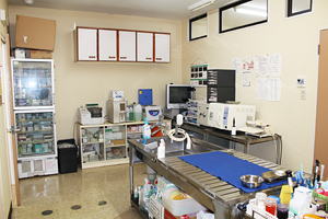 こにし動物病院 処置室